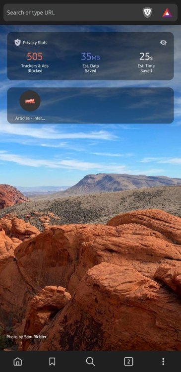 Screenshot_20240831_143155_Brave - Beta.jpg